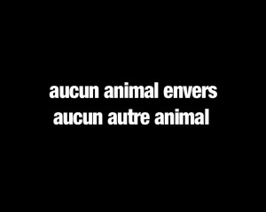 Aucun animal Aucun animal
